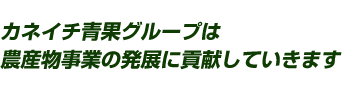 カネイチ青果グループは農産物事業の発展に貢献していきます