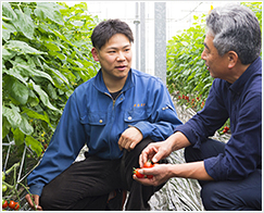 産地に頻繁に足を運び、生産者の農業経営をサポート